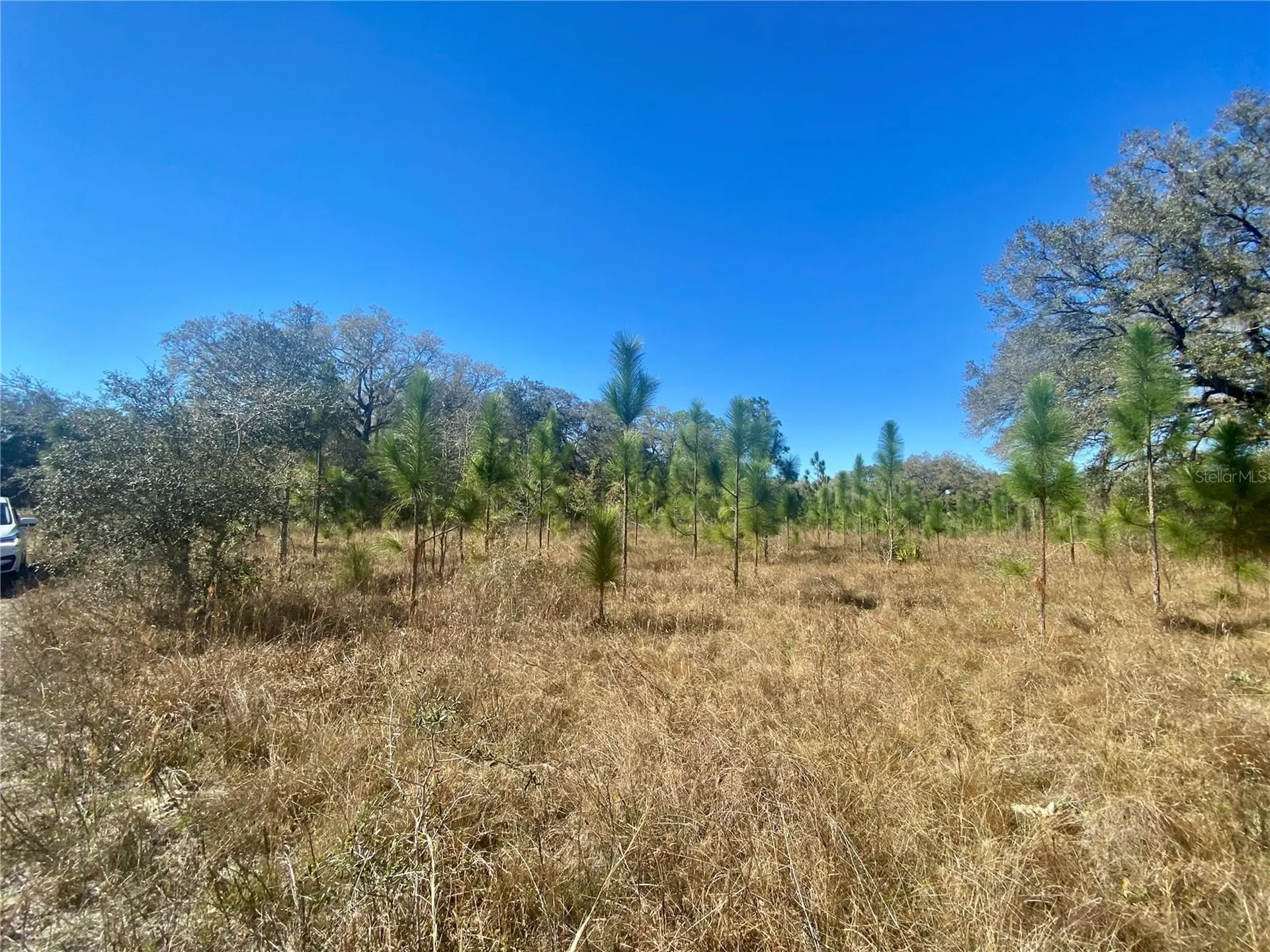 00 Unnamed Spring Hill FL 34610