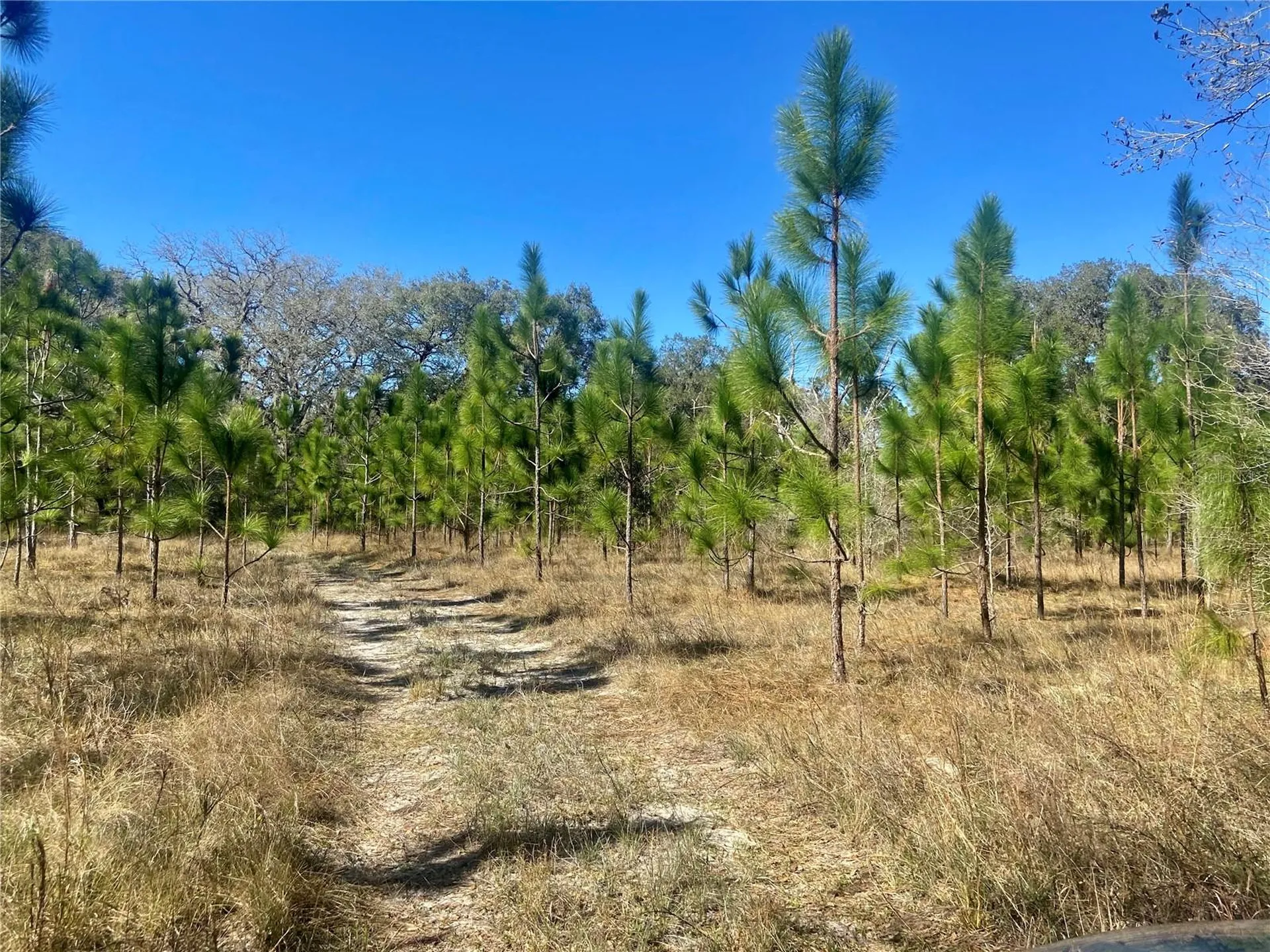 00 Unnamed Spring Hill FL 34610