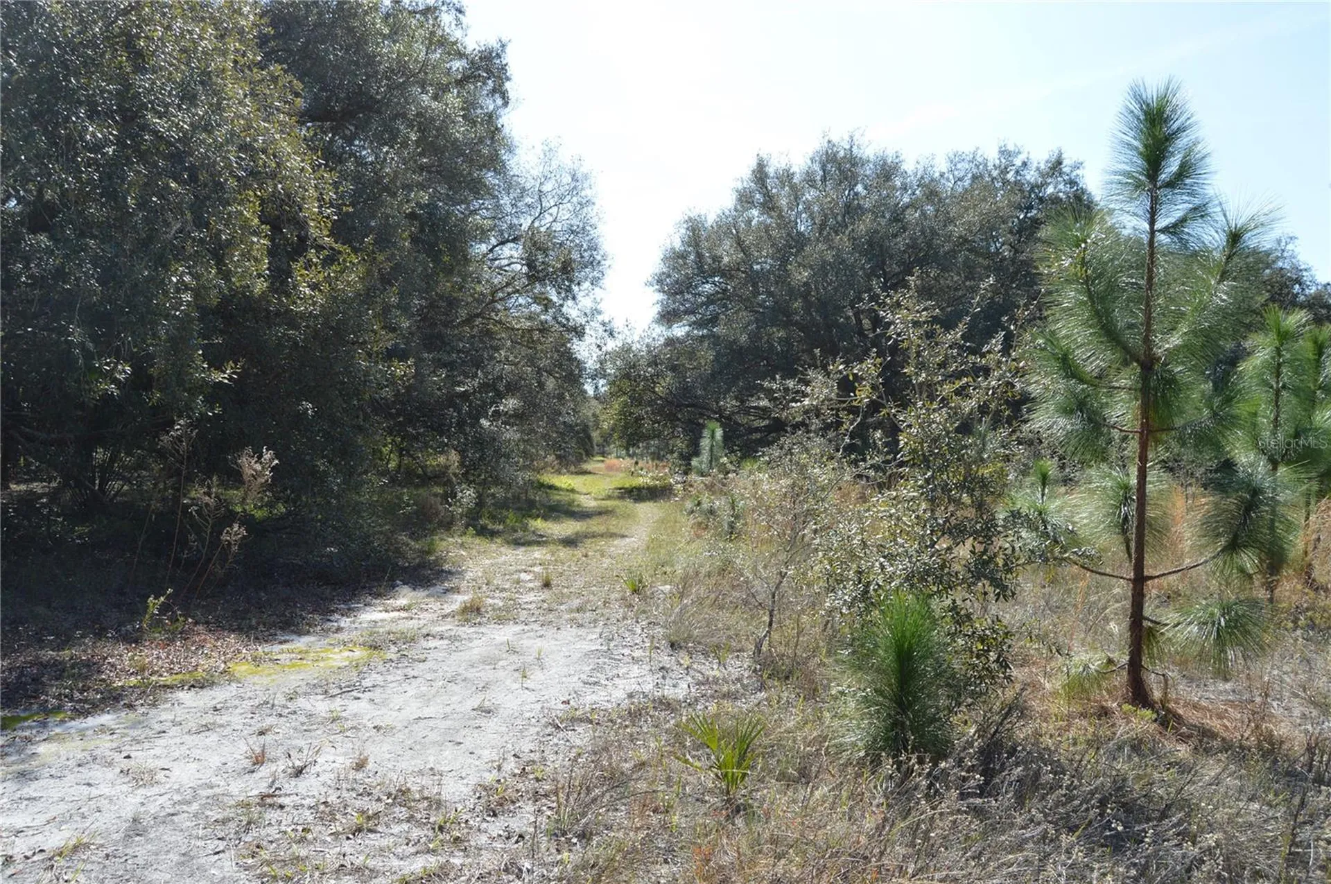 00 Unnamed Spring Hill FL 34610
