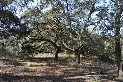 00 Unnamed Spring Hill FL 34610