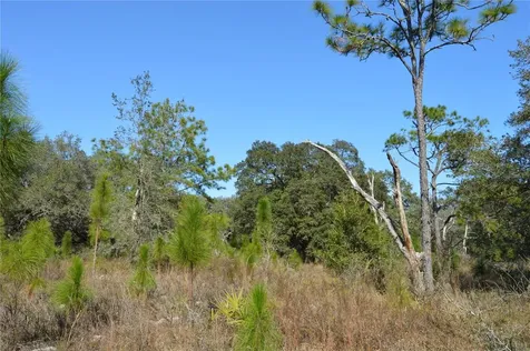 00 Unnamed Spring Hill FL 34610