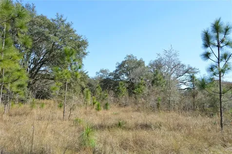 00 Unnamed Spring Hill FL 34610