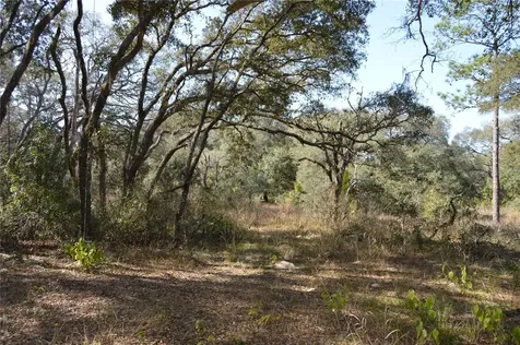 00 Unnamed Spring Hill FL 34610