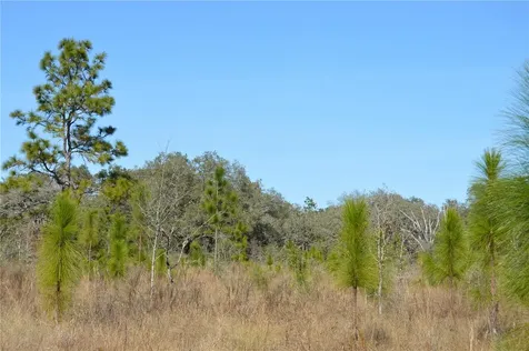 00 Unnamed Spring Hill FL 34610