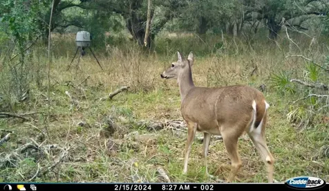 00 Unnamed Spring Hill FL 34610