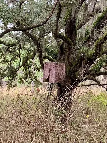 00 Unnamed Spring Hill FL 34610