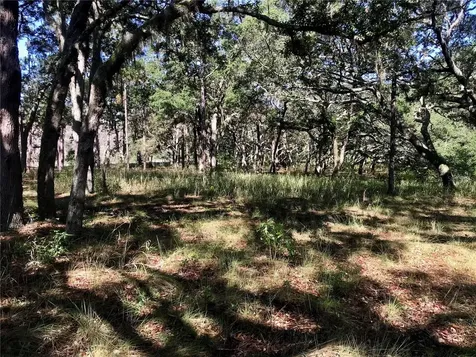 00 Unnamed Spring Hill FL 34610