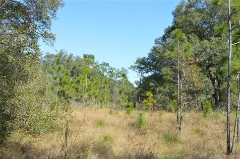 00 Unnamed Spring Hill FL 34610