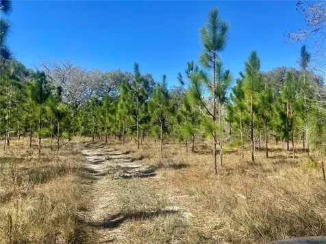 00 Unnamed Spring Hill FL 34610