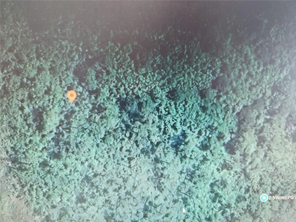 Holopaw Groves Road St Cloud FL 34771