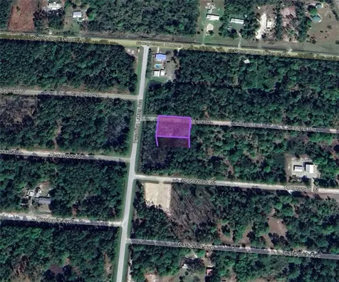 305 Carteret Road Georgetown FL 32139