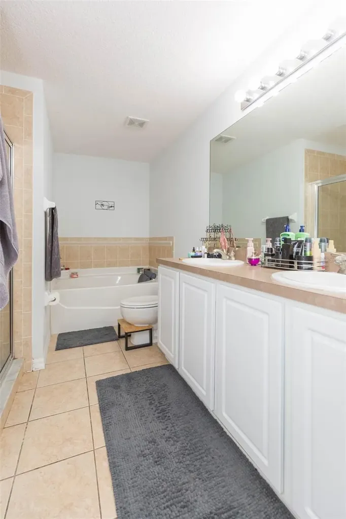 18136 Nassau Point Drive Tampa FL 33647