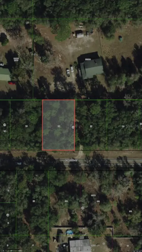 3919 E Orchid Street Hernando FL 34442
