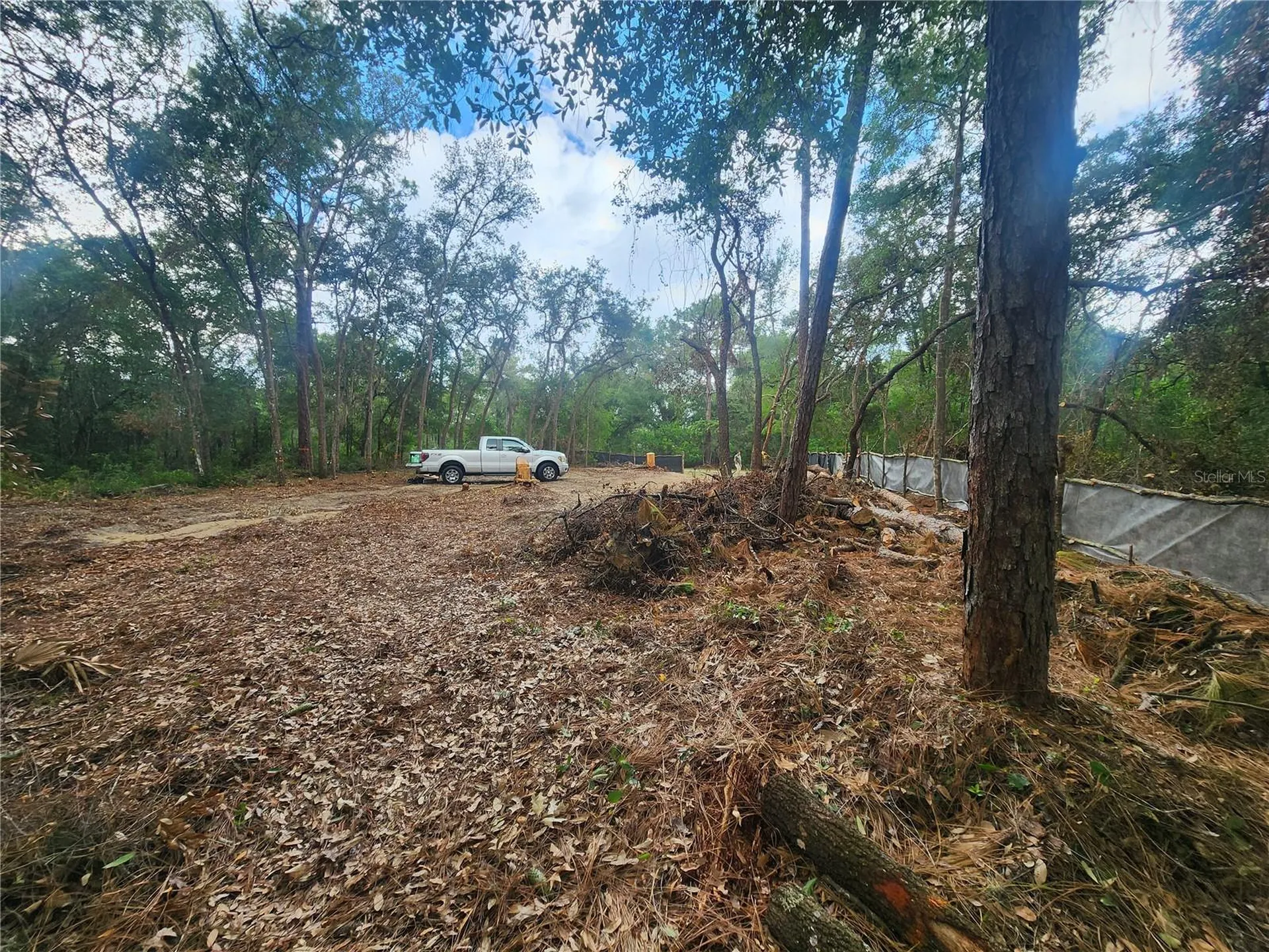 3919 E Orchid Street Hernando FL 34442