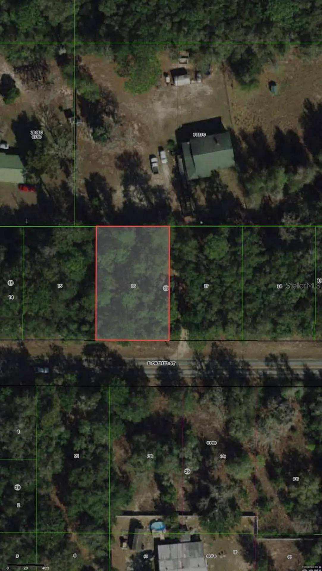 3919 E Orchid Street Hernando FL 34442