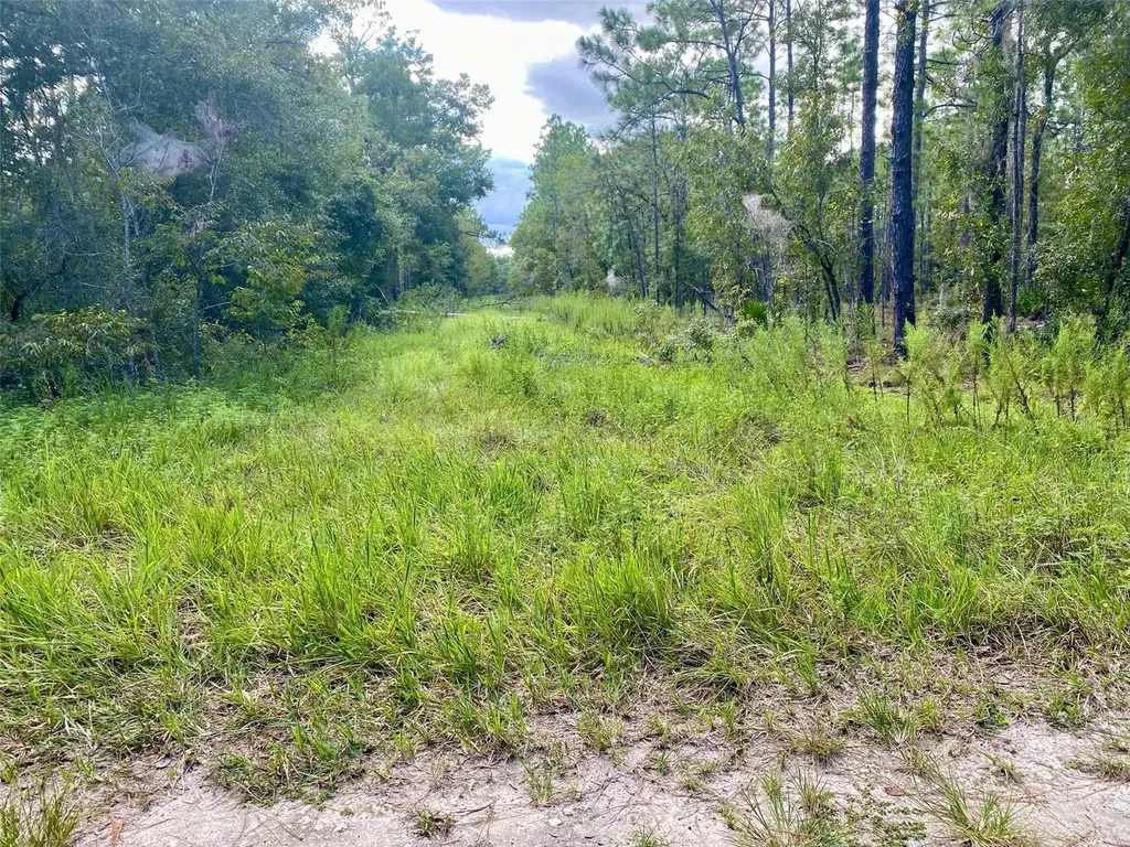 SW 16th Street Ocala FL 34481