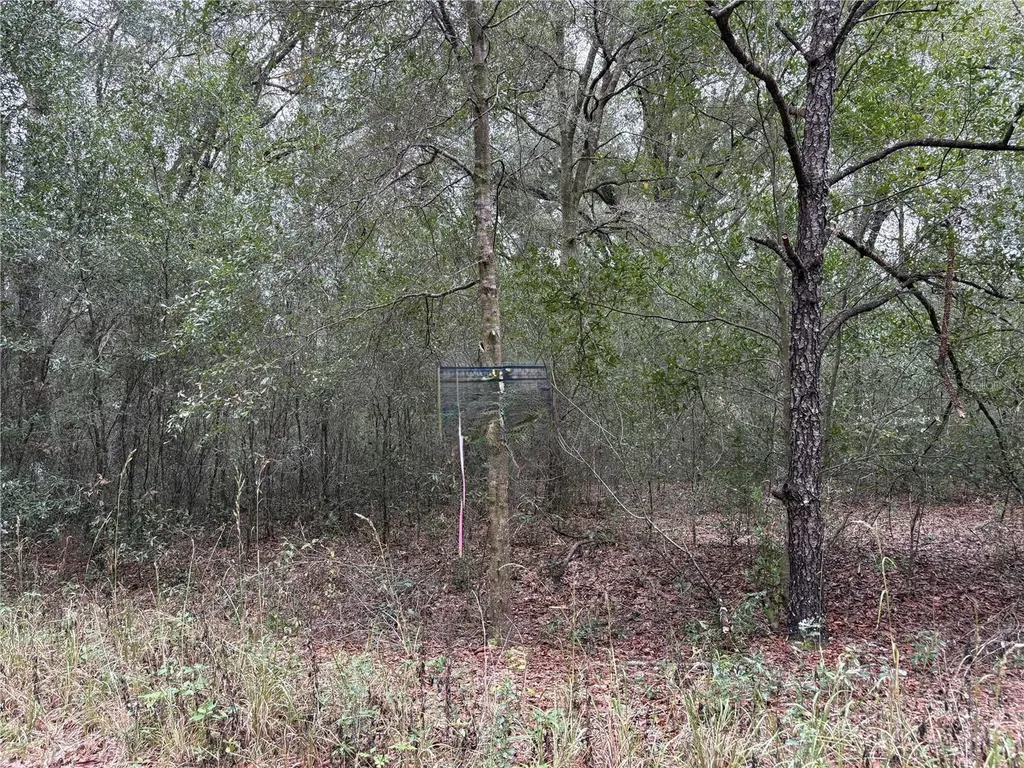 SW 16th Street Ocala FL 34481