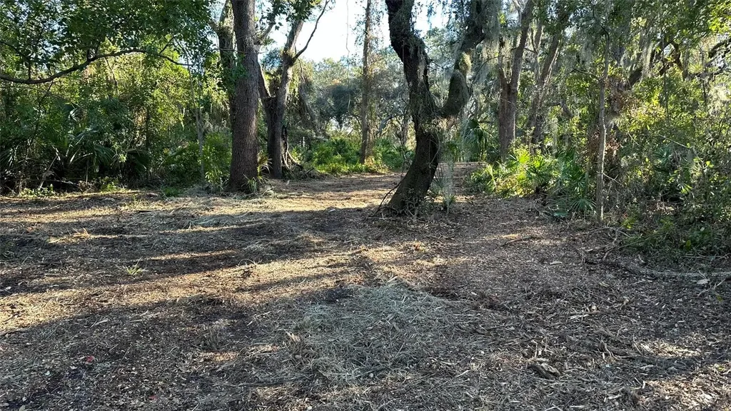 1676 Hermosa Drive Palm Harbor FL 34683