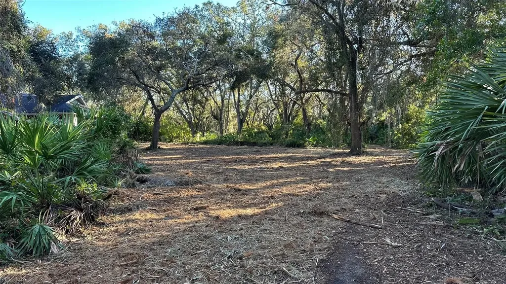 1676 Hermosa Drive Palm Harbor FL 34683