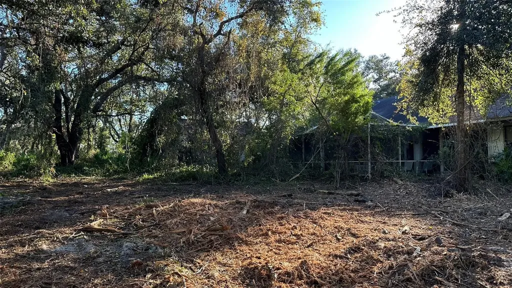 1676 Hermosa Drive Palm Harbor FL 34683