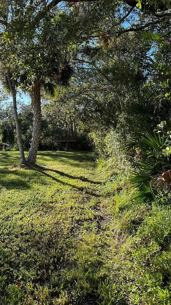 1676 Hermosa Drive Palm Harbor FL 34683