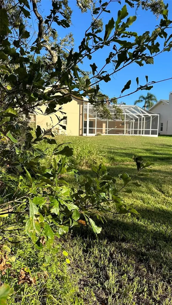 1676 Hermosa Drive Palm Harbor FL 34683