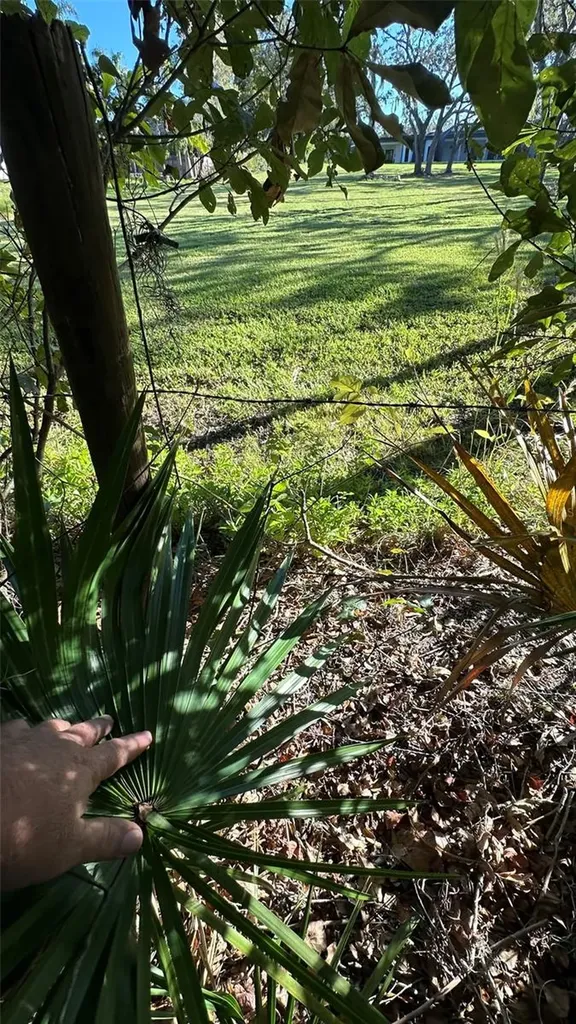 1676 Hermosa Drive Palm Harbor FL 34683