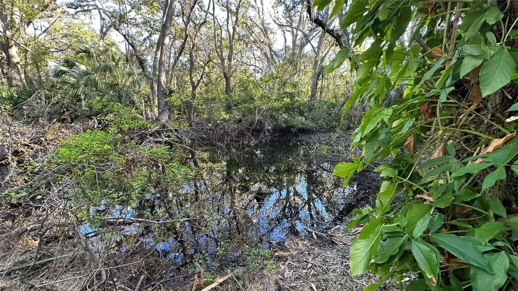 1676 Hermosa Drive Palm Harbor FL 34683