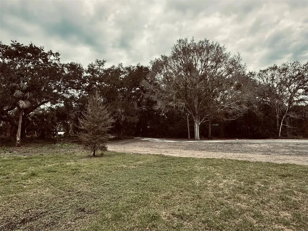 1676 Hermosa Drive Palm Harbor FL 34683