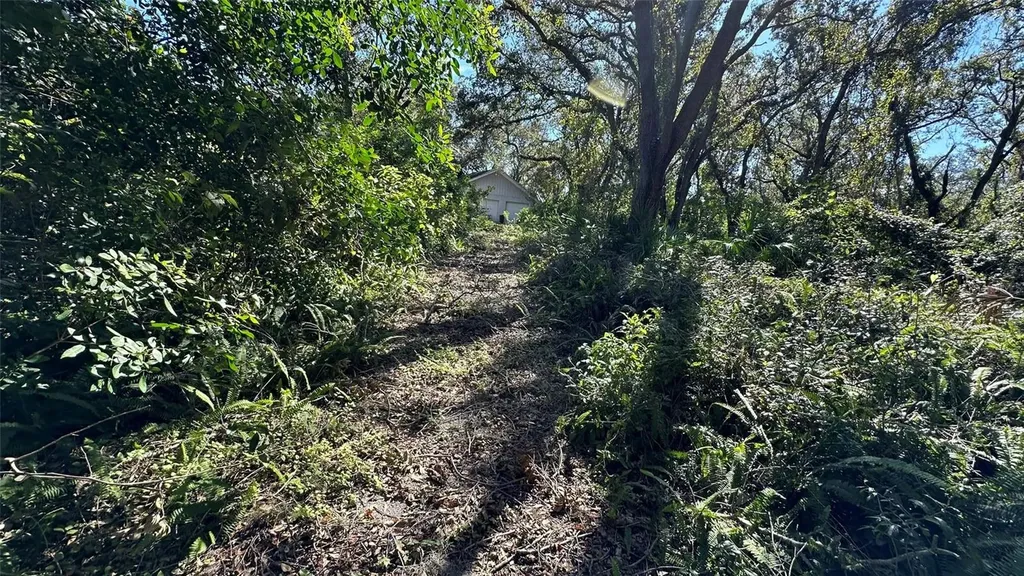 1676 Hermosa Drive Palm Harbor FL 34683