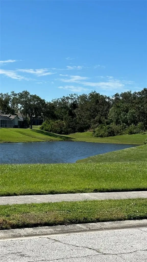 1676 Hermosa Drive Palm Harbor FL 34683