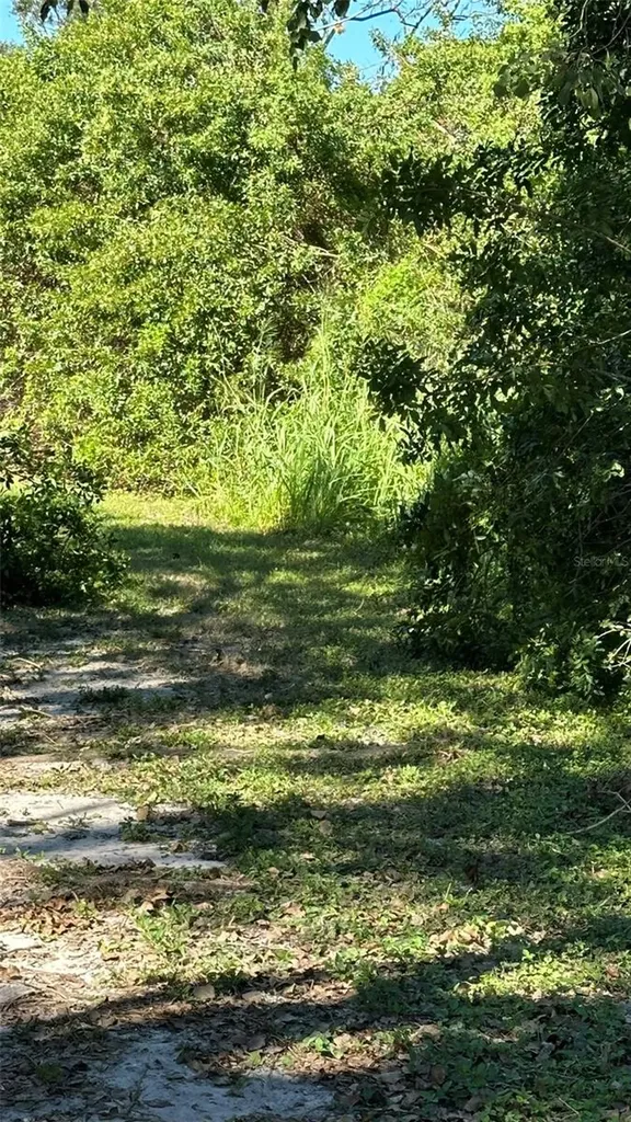 1676 Hermosa Drive Palm Harbor FL 34683