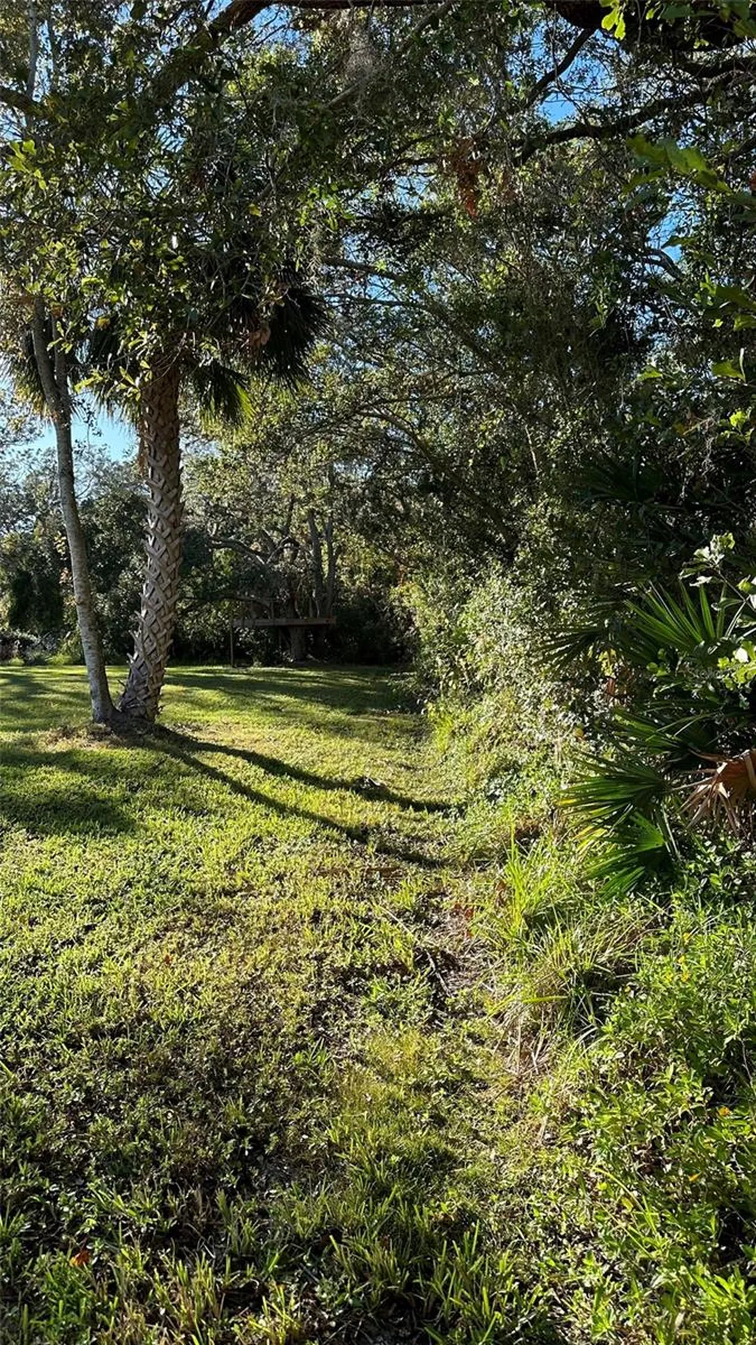 1676 Hermosa Drive Palm Harbor FL 34683
