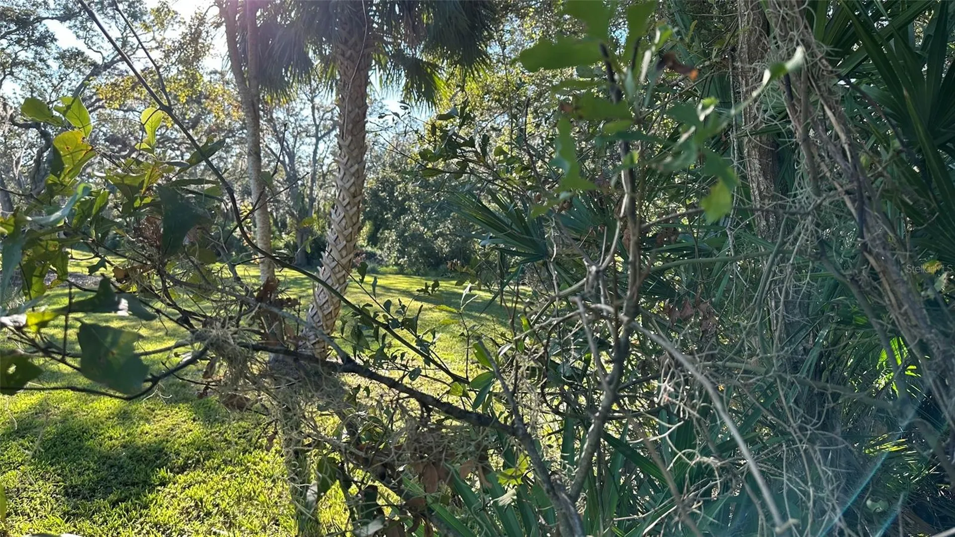 1676 Hermosa Drive Palm Harbor FL 34683