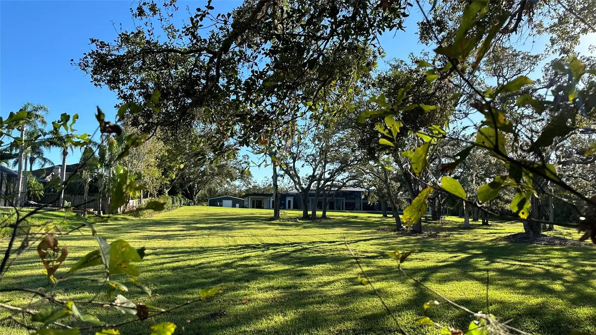 1676 Hermosa Drive Palm Harbor FL 34683