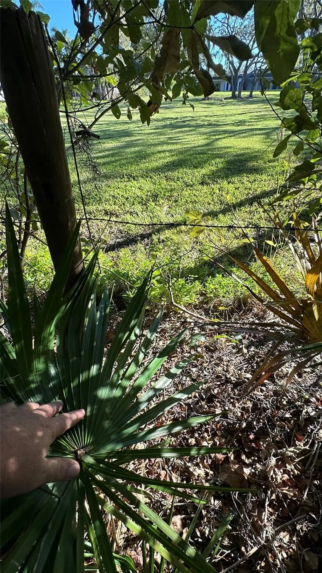 1676 Hermosa Drive Palm Harbor FL 34683