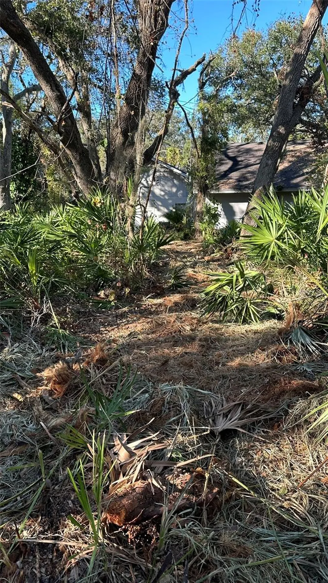 1676 Hermosa Drive Palm Harbor FL 34683