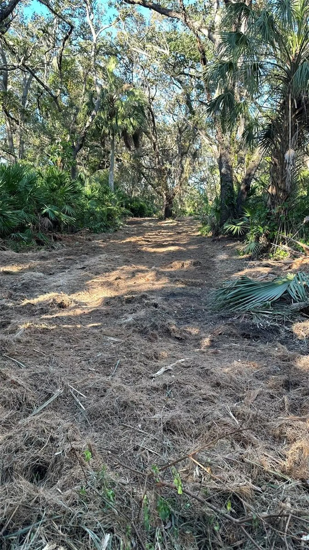 1676 Hermosa Drive Palm Harbor FL 34683