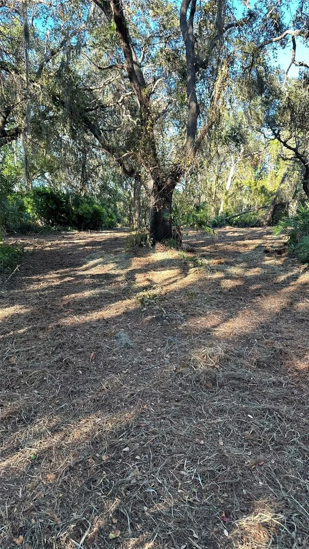 1676 Hermosa Drive Palm Harbor FL 34683