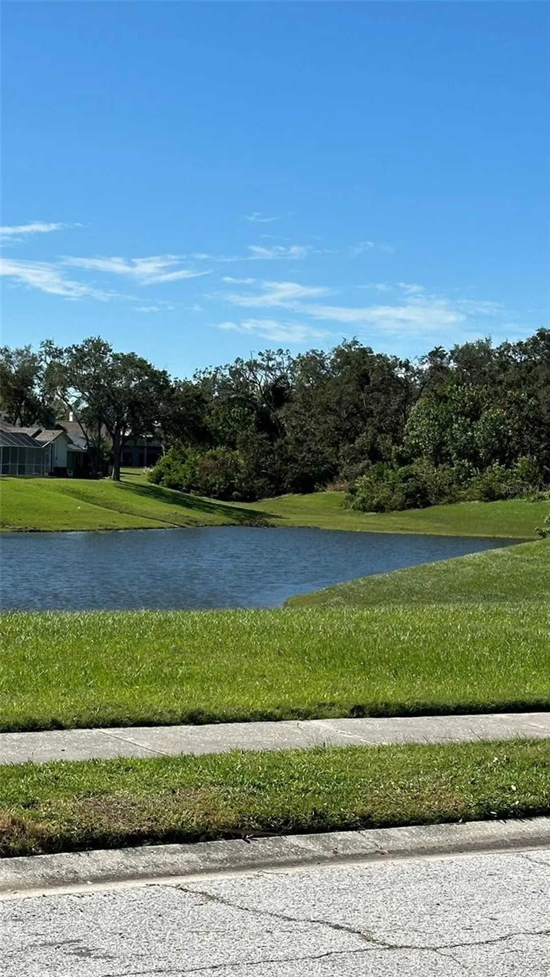 1676 Hermosa Drive Palm Harbor FL 34683