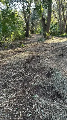 1676 Hermosa Drive Palm Harbor FL 34683
