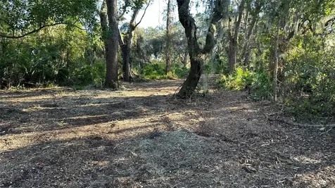 1676 Hermosa Drive Palm Harbor FL 34683
