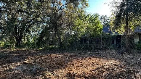 1676 Hermosa Drive Palm Harbor FL 34683
