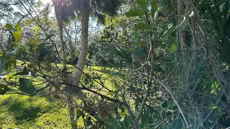 1676 Hermosa Drive Palm Harbor FL 34683