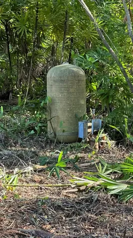 1676 Hermosa Drive Palm Harbor FL 34683