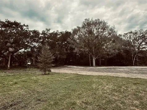 1676 Hermosa Drive Palm Harbor FL 34683