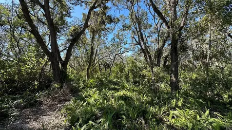 1676 Hermosa Drive Palm Harbor FL 34683