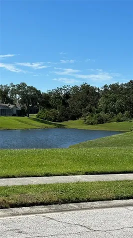 1676 Hermosa Drive Palm Harbor FL 34683