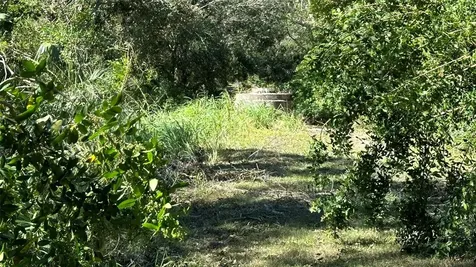 1676 Hermosa Drive Palm Harbor FL 34683