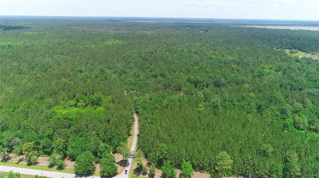 15305 NW Highway 320 Micanopy FL 32667